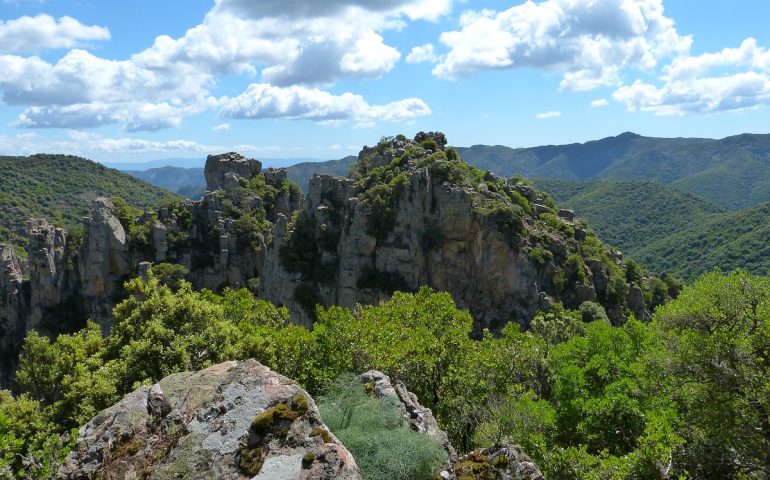 Lo sapevate? La foresta più grande d’Italia si trova in Sardegna. Misura 68mila ettari