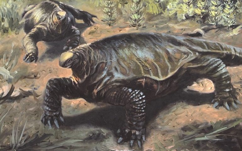Lo sapevate? L’alierasauro, un gigantesco dinosauro vissuto in Sardegna 270 milioni di anni fa