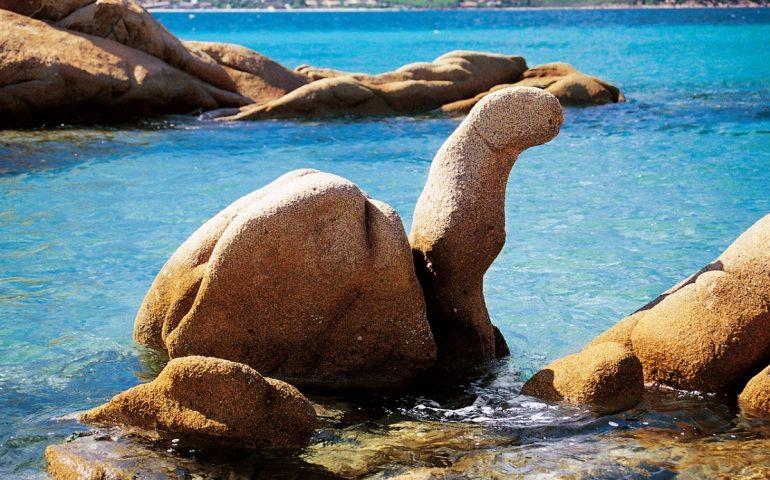 Lo sapevate? In Sardegna c’è una curiosa roccia a forma di tartaruga. Ecco dove si trova