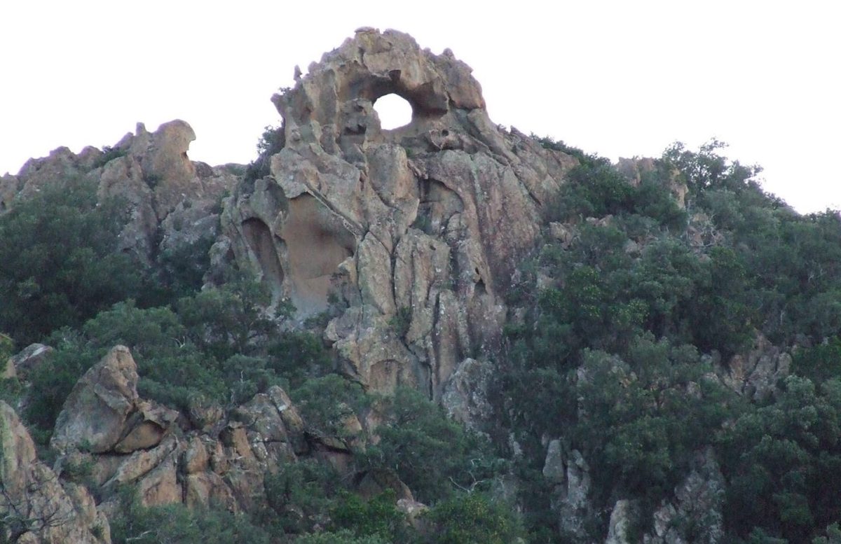 Triei, il progetto di Matia Sotgia un'azienda agricola Ogliastra