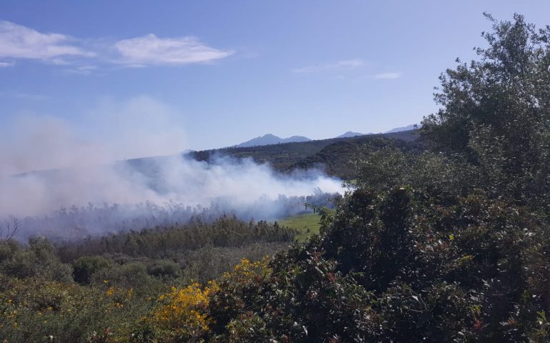 (VIDEO) Ogliastra, incendio nella zona di Cea: rogo in un canneto e tra gli alberi