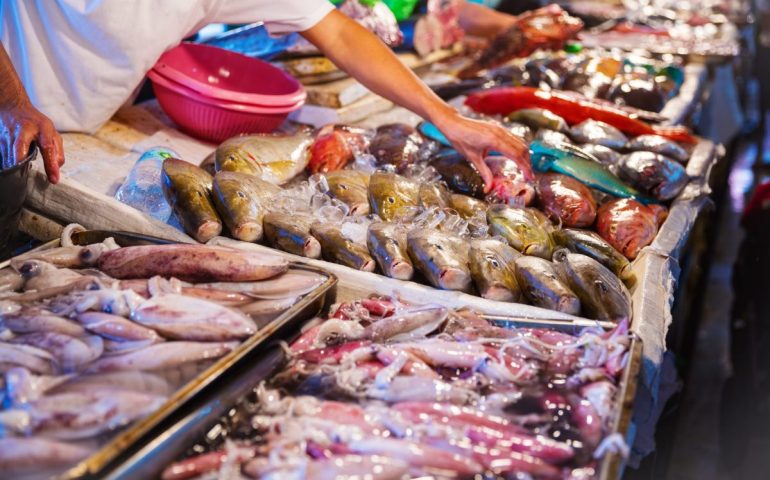 Cagliari, vendeva la droga nascosta tra i pesci: arrestato pescivendolo di San Benedetto