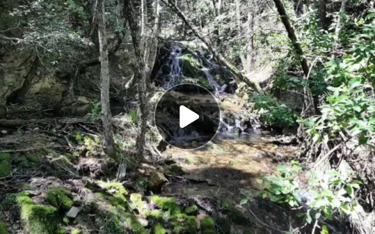(VIDEO) Ogliastra, uno scorcio del Rio Ermulinus in mezzo ai boschi di Montarbu