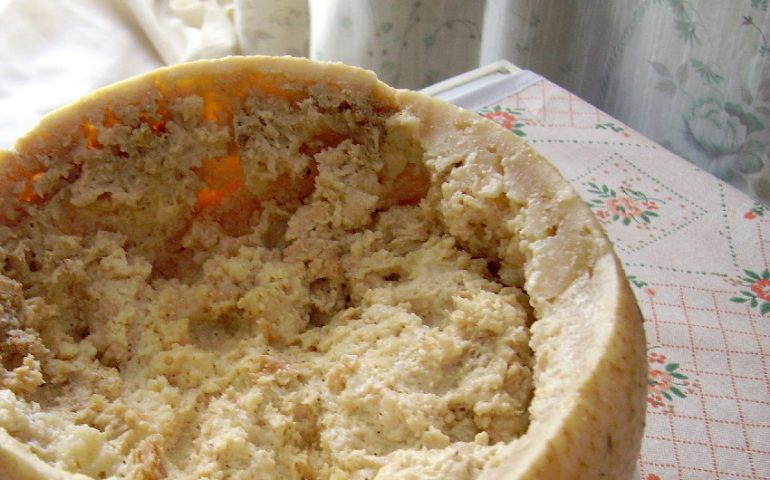 Il Guinness dei Primati ha definito il Casu Marzu “il formaggio più pericoloso al mondo”