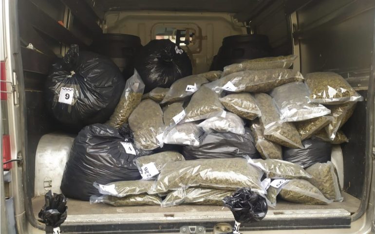 Nuorese, operazione anti droga: oltre 130 kg di sostanze sequestrate e due arresti