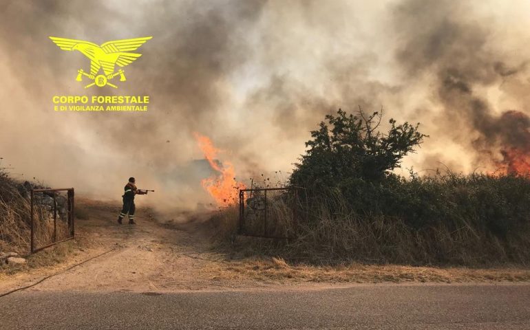 Sardegna, campagne devastate dalle fiamme: oggi 24 incendi e diversi interventi dei mezzi aerei