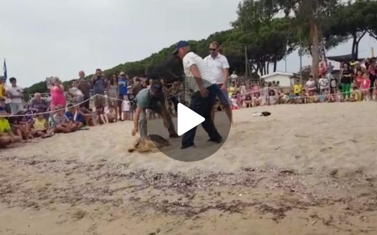 (VIDEO) Ogliastra, la tartaruga Joker riprende la via del mare: liberata dopo la lunga riabilitazione