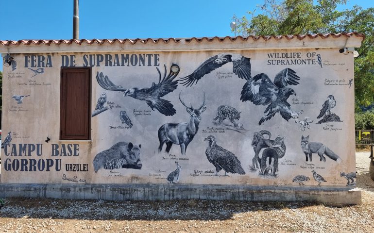 Urzulei, “Fera de Supramonte”: il murale di Bruno Pisu al campo base di Gorropu