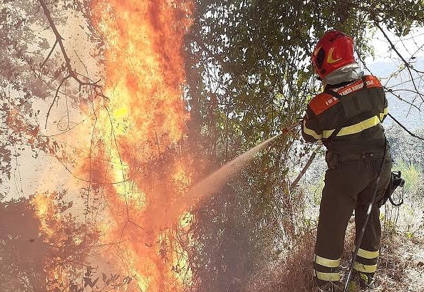 Un incendio nella notte ha devastato le campagne tra Cardedu e Jerzu: uomini e mezzi ancora al lavoro