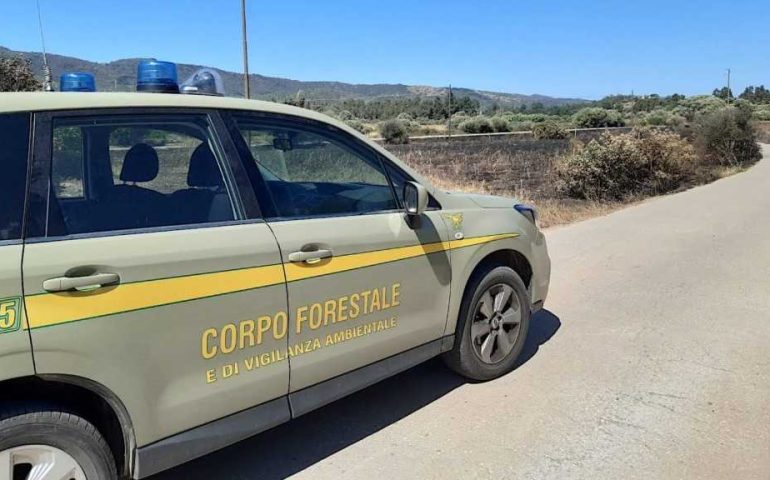 Sardegna, accusato di aver appiccato due roghi: presunto piromane arrestato