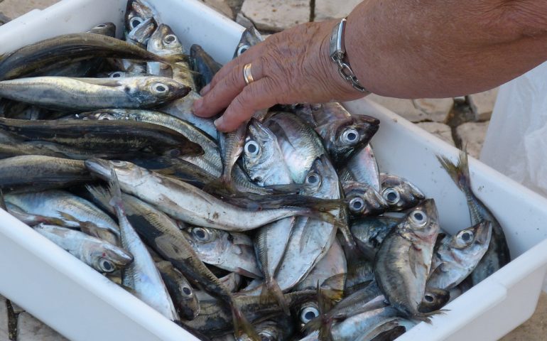 “Signora le occorre del pesce?”, poi entra in casa dell’anziana e ruba gioielli e oro: 38enne denunciato