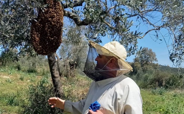 Alla scoperta del mondo delle api con l’apicoltore villagrandese Pierpaolo Loi
