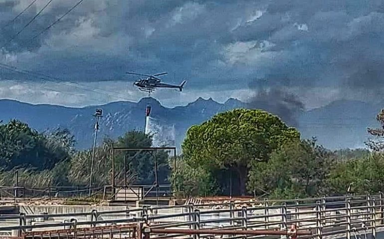 Sardegna, campagne devastate dalle fiamme: oggi 25 incendi e diversi interventi dei mezzi aerei