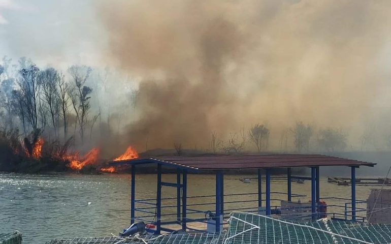 (FOTO) Incendio nella pineta tra Tortolì e Girasole: intervento aereo per domare le fiamme