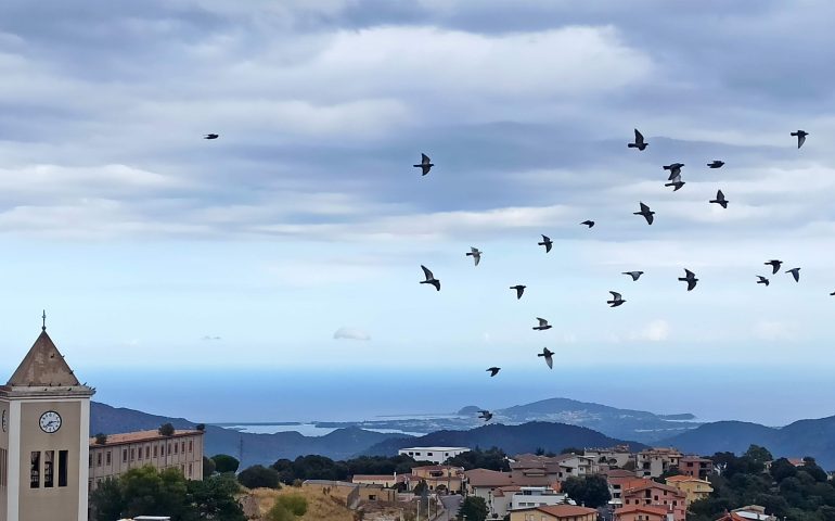 Le foto dei lettori. Arzana: volo degli uccelli nel primo cielo d’autunno con il mare d’Ogliastra sullo sfondo
