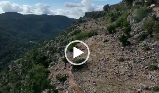 (VIDEO) L’emozionante dronata su “Su camminu ‘e su filu”
