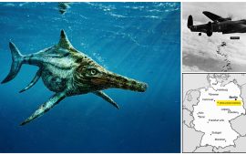 Lo sapevate? Nel Giurassico a Jerzu nuotavano gli ittiosauri, rettili marini simili ai delfini
