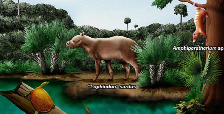 Lo sapevate? 50 milioni di anni fa nel Sulcis vivevano tapiri e opossum