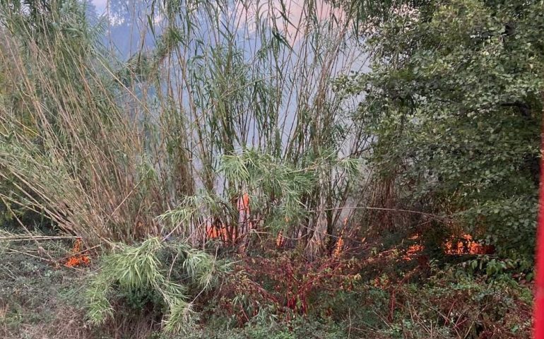Incendio nella zona della diga di Santa Lucia: sul posto Vigili del Fuoco e Forestale