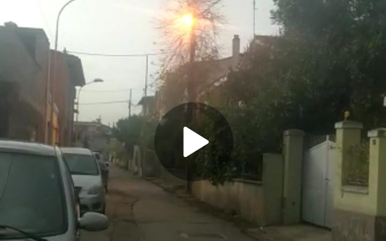 (VIDEO) Paura a Tortolì, cavo elettrico a contatto con i rami di un albero: fiamme in via Boccaccio