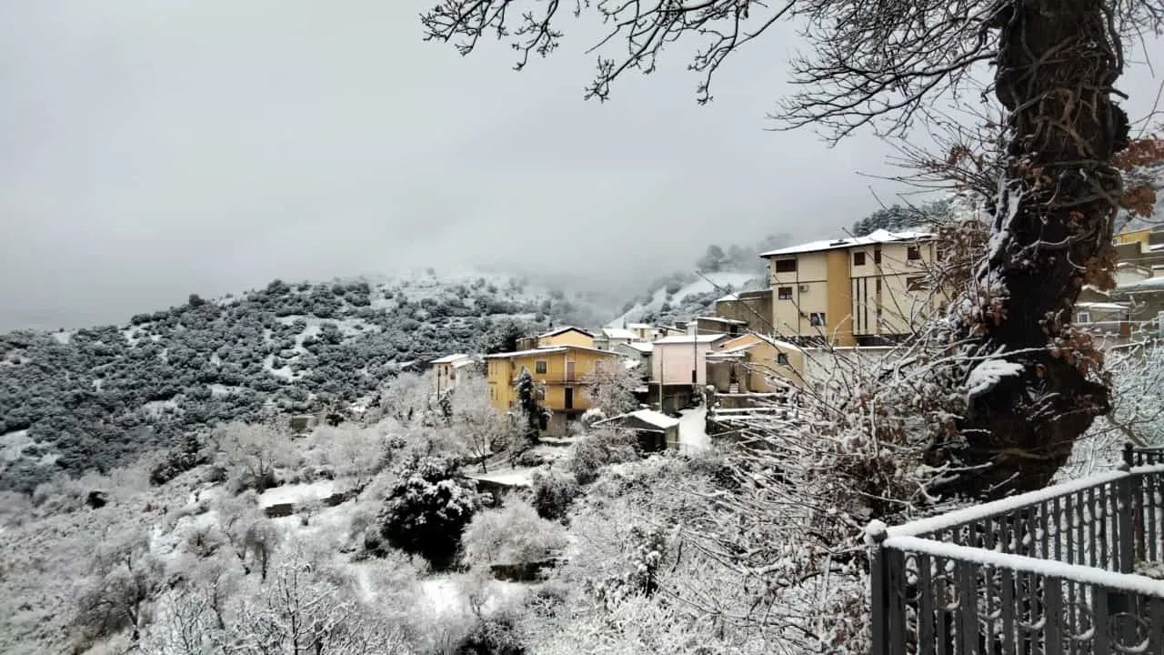neve-esterzili-pro-loco