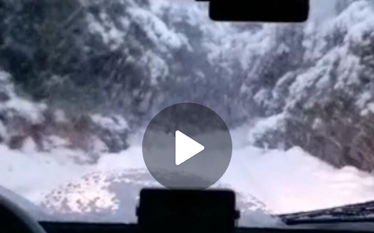 (VIDEO) Montarbu ricoperto di neve e il cinghiale Ciccio: le spettacolari immagini della zona