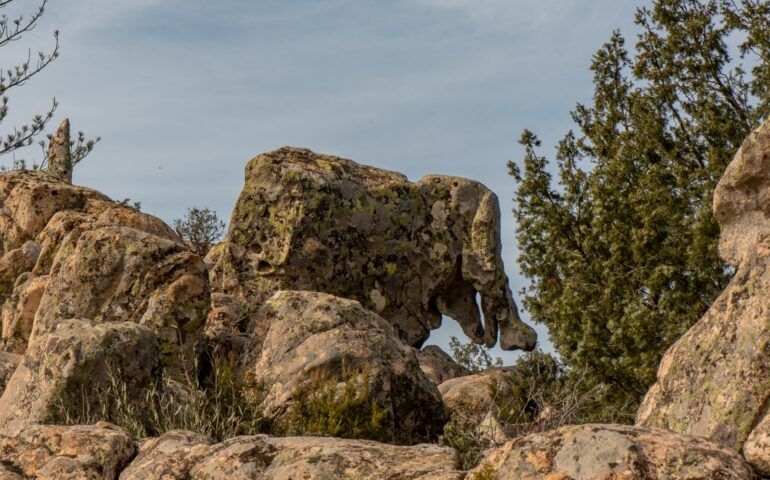 Lo sapevate? Nel Nuorese si trova una roccia a forma di elefantino che pochissimi notano