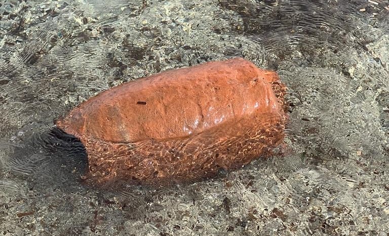 Sardegna: trova un’anfora in terracotta mentre passeggia in spiaggia