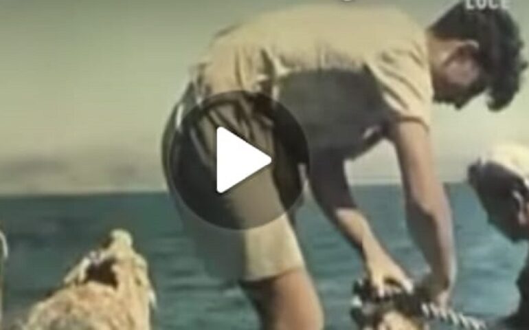 (VIDEO) Come si pescava il corallo negli anni ’50 in Sardegna: un rarissimo video ce lo racconta