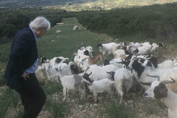 La Pasqua di Sgarbi in Sardegna: la mostra di Anna Gardu, le capre, i pranzi tipici e la visita alla maestra di San Vero Milis