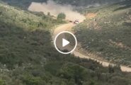 (VIDEO) Paura al Rally di Sardegna: auto travolge una mucca dopo la curva, il pilota rischia grosso