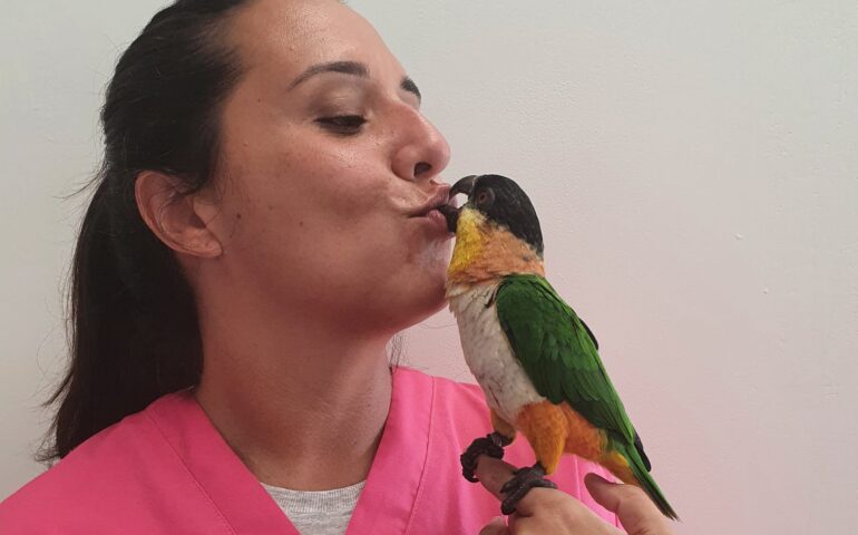 Chiara Gambella, veterinaria esperta in animali esotici. Un consiglio? “Prima informarsi e poi acquistare”