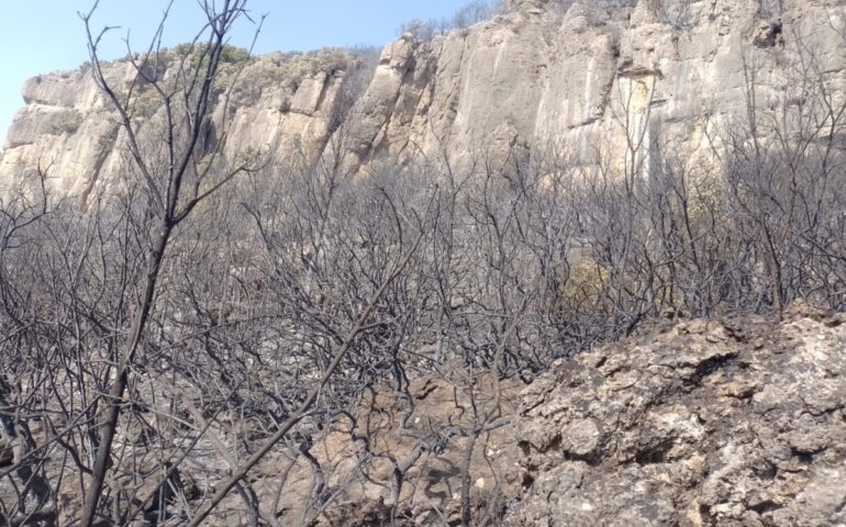 Jerzu, vasto incendio nelle campagne: sul posto gli agenti del Corpo Forestale