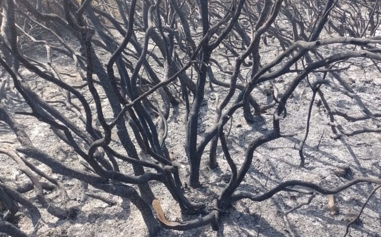 Lavora per ore allo spegnimento dell’incendio a Jerzu, torna a casa e muore di infarto