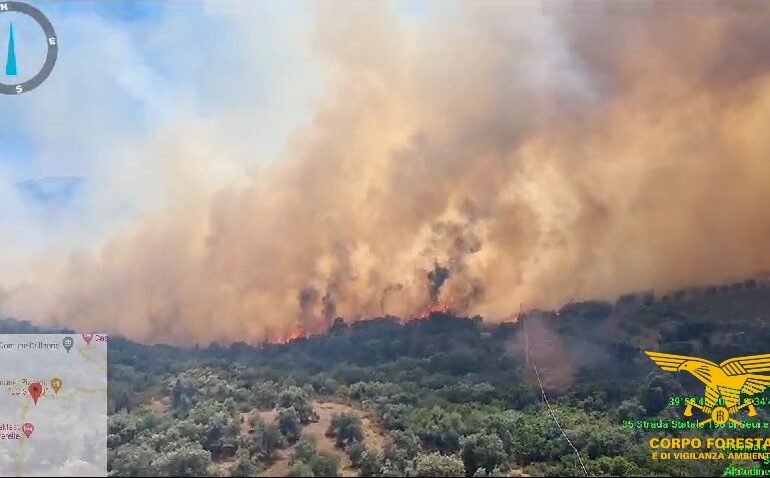 Incendio devasta le campagne di Villagrande: bruciati 100 ettari di macchia mediterranea