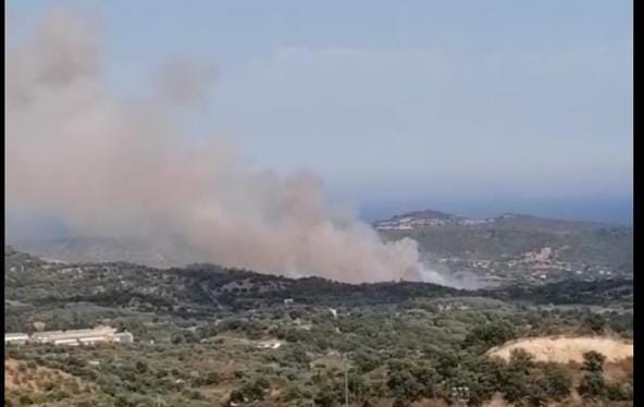 (VIDEO) Vasto incendio tra Bari Sardo e Loceri: anche il canadair in azione