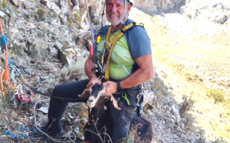 Capretta salvata a 60 metri da terra: la poverina, caduta da un dirupo, era lì da almeno 5 giorni