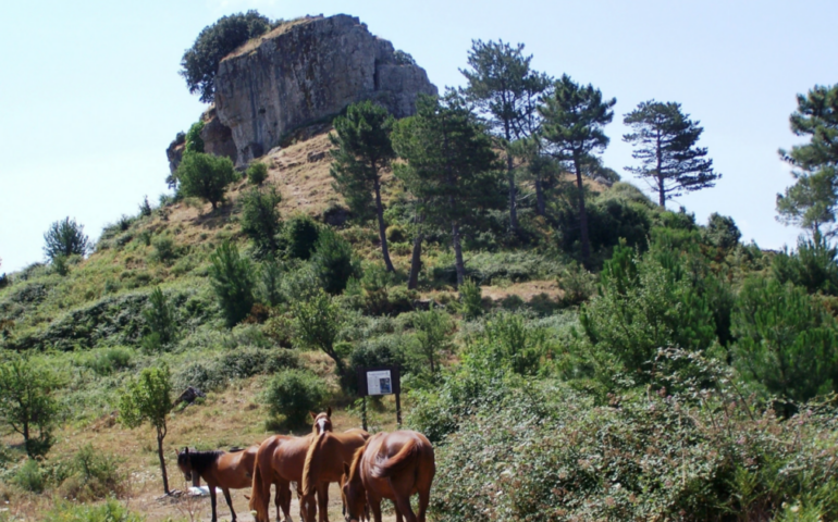 Lo sapevate? Nel cuore della Sardegna si trova su “Texile”, una roccia a forma di sgabello. Ecco dove