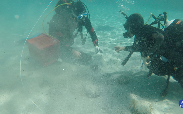 Straordinario ritrovamento nel mare della Sardegna: scoperto enorme deposito di monete del IV secolo d.C.