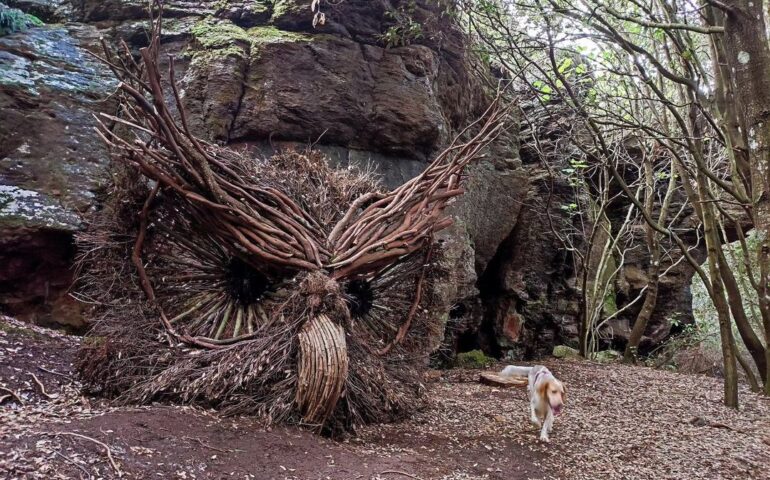 Un gufo di legno nella foresta sarda dell’ossidiana: la bellissima opera di due artisti friulani