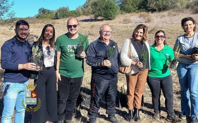 Tortolì, il Comune presenta il progetto di riforestazione: “Abbiamo arricchito la nostra biodiversità”