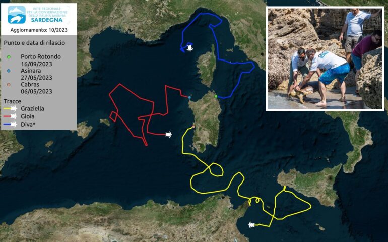 Gioia e Graziella, tartarughe salvate e rilasciate in mare: i loro percorsi di libertà e destini nel Mediterraneo