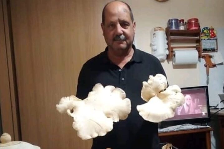 Passione funghi. Il bottino di Giorgio Pili di Osini