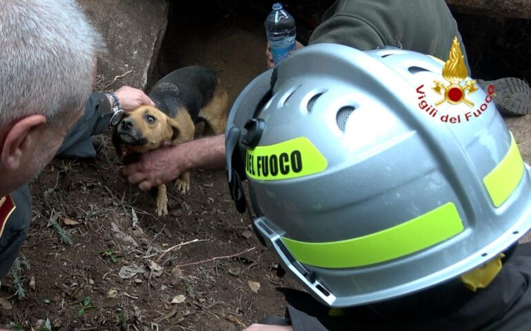 Cardedu, cagnolino intrappolato in una conca rocciosa: soccorso e salvato dai Vigili del Fuoco