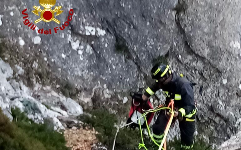 Precipitano in un dirupo nel Supramonte di Oliena: pecore salvate dai Vigili del Fuoco