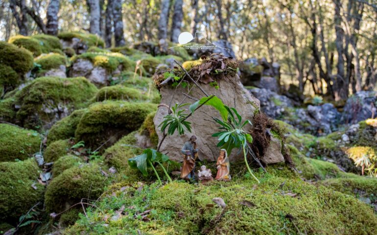 (FOTO) Il bellissimo presepe tra i boschi dell’Ogliastra nella foto di Cristian Mascia