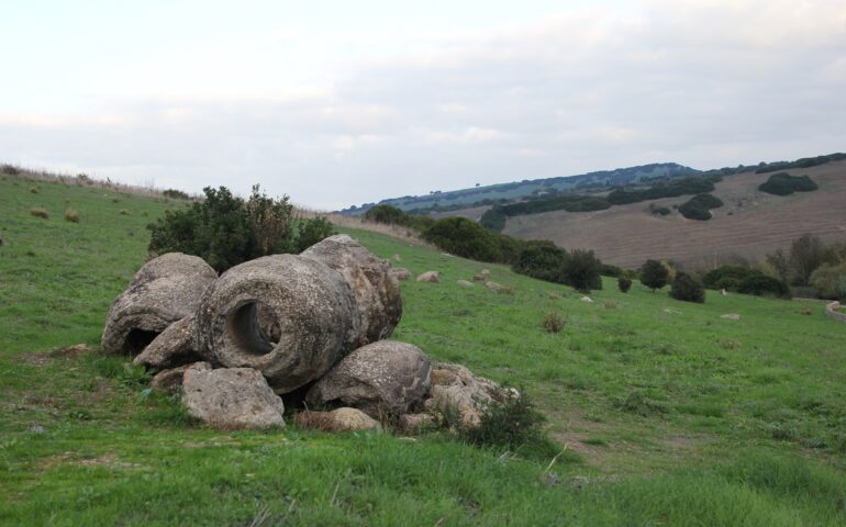 Lo sapevate? In Sardegna esiste una magnifica foresta pietrificata con tronchi giganteschi