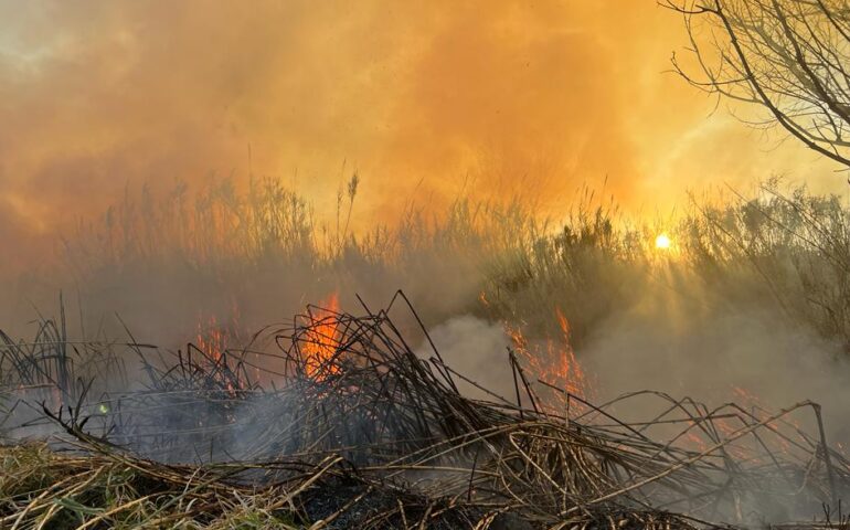 Lotzorai, grosso incendio vicino al Rio Pramaera. Vigili del Fuoco al lavoro