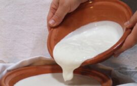 Alla scoperta del “Gioddu”: prelibatezza sarda e unico latte fermentato prodotto in Italia