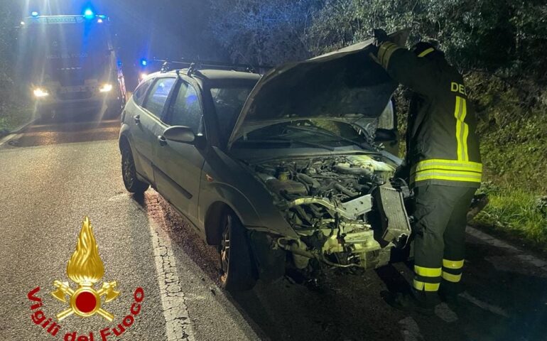 Auto si schianta contro un albero nella notte: un ferito trasportato al pronto soccorso